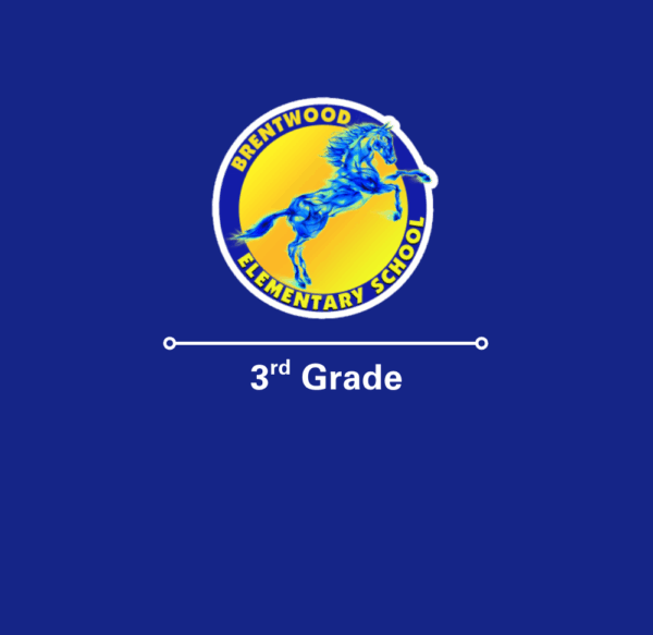 3rd Grade